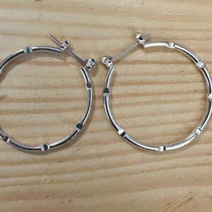 Elegant Silver Hoop Earrings